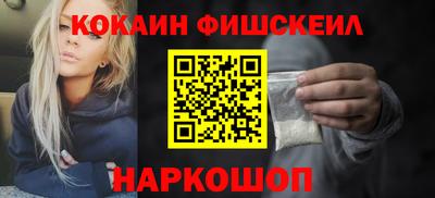 крисы Можга