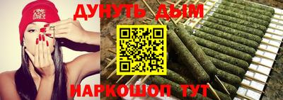 крисы Можга