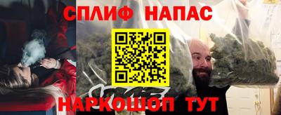 крисы Можга