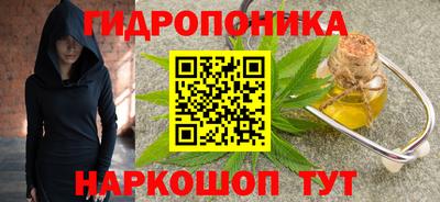 крисы Можга