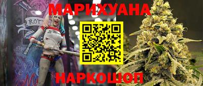 крисы Можга