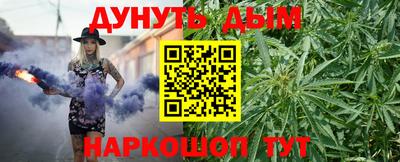 крисы Можга