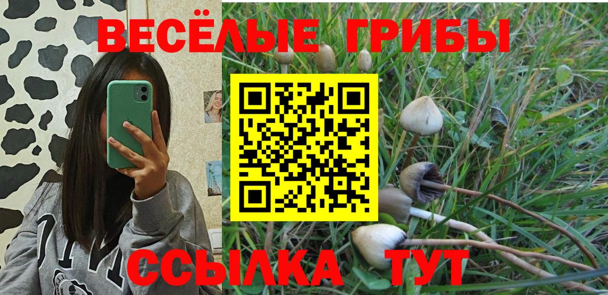 Псилоцибиновые грибы Magic Shrooms  Вход с VPN  Верхняя Салда 