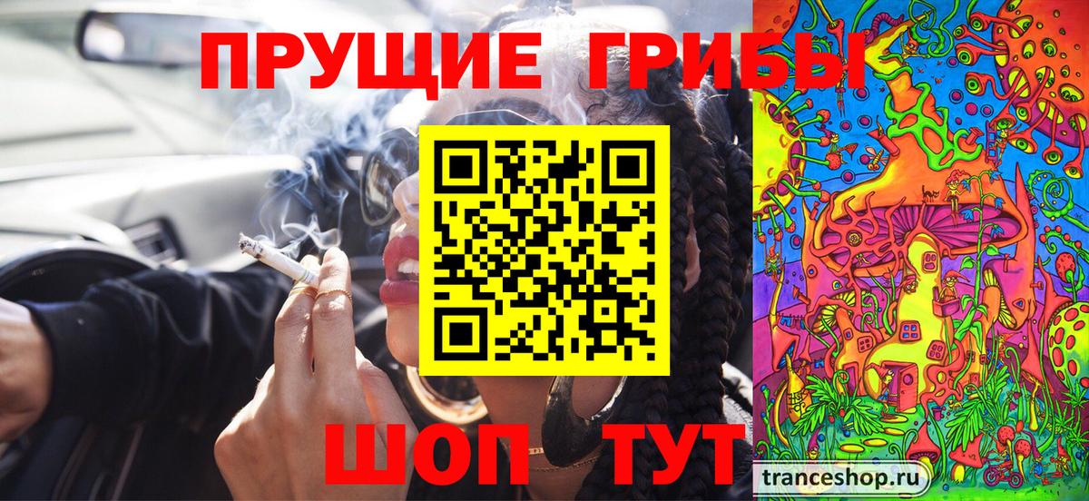 Псилоцибиновые грибы GOLDEN TEACHER Верхняя Салда